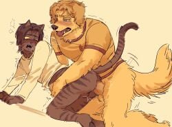 2boys anthro anthro_on_anthro anthro_penetrated anthro_penetrating arm_around_waist blue_eyes blush canine canine_genitalia canine_humanoid canine_knot canine_teeth curly_(mouthwashing) feline feline_humanoid fluffy_fur furrowed_brow furry furry_male furry_only golden_retriever half_naked head_turned hi_res jimmy_(mouthwashing) knot mouthwashing movement_lines no_pants on_knees panting penetration shaking_lines sharp_teeth shirt_only striped_fur tabby_cat thrust_lines yellow_eyes zzoupz