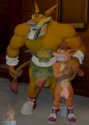 2019 2boys 3d 4_fingers anthro bandicoot bara crash_(series) crash_bandicoot fingerless_gloves flaccid furry furry_only gay green_eyes loincloth male male_only marsupial muscular penis qualske98 spiked_bracelet tasmanian_tiger tiger tiny_tiger veiny_penis video_games yaoi yellow_sclera