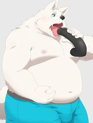 2019 anthro belly canid canine canis chizu clothing dildo domestic_dog fur hi_res humanoid_hands kemono male male_only mammal moobs navel nipples overweight overweight_male sex_toy simple_background solo tongue tongue_out underwear white_body white_fur