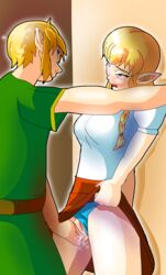 clothing female fingering hyrule_warriors linkle panties pussy skirt the_legend_of_zelda upskirt