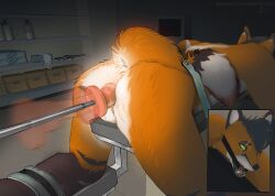 anal anal_sex anthro anthro_penetrated anus ass backsack balls big_butt brain.putrefaction brown_body brown_fur canid canine detailed_background dildo dildo_in_ass dildo_insertion fox fucked_silly fucking_machine fur gag gagged genitals green_eyes hi_res knot knotted_dildo machine male male_penetrated mammal medical medical_examination medical_play nude_anthro nude_male object_in_ass orange_body orange_fur penetration presenting presenting_hindquarters rear_view ring_gag sex_toy sex_toy_in_ass sex_toy_insertion solo strapped strapped_down submissive submissive_anthro submissive_male thick_thighs white_body white_fur wide_hips