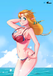 princess zelda from skyward sword by sponsy