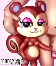 :3 animal_crossing anthro big_penis breasts chibi duo female furry genitals hi_res human human_on_anthro humor interspecies looking_at_viewer makeup male mammal nintendo pecan_(animal_crossing) penis pussy rodent sciurid simple_background simski size_difference slightly_chubby straight touching_penis video_games villager_(animal_crossing) white_background