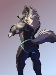 3:4 anthro ass balls_outline biceps blue_eyes canid canine canis clothing crossed_arms genitals hi_res jockstrap looking_back male male_only mammal muscular solaxe_(artist) solo teeth underwear wolf