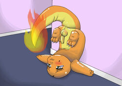 charmander color fire male male_only nintendo pokémon_(species) pokemon pokemon_rgby solo tail tail_fire