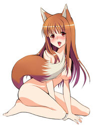 1girls barefoot blush breasts brown_hair female holo joe_sage kneeling long_hair medium_breasts nude pointy_chin red_eyes sage_joh saliva solo spice_and_wolf tail wariza wolf_ears wolf_tail