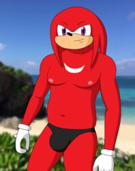 1boy beach belly bulge drreverb knuckles_the_echidna male male_only nipples purple_eyes red_fur red_skin sega sonic_(series) speedo