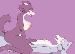 juno (beastars) from beastars by ale vananice