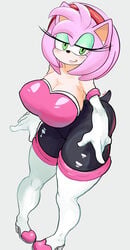 Rouge The Bat (Cosplay) Rule 34 Image