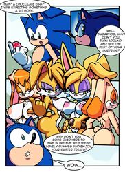 1boy 4girls anthro bunnie_rabbot buns_rabbot comic cream_the_rabbit female group handwear male rabbit sonic_(series) sonic_the_hedgehog turboranger vanilla_the_rabbit