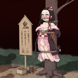 1girls black_hair blush bondage breasts clothing crying cum_dump demon_slayer exposed_breasts female haori kamado_nezuko kimetsu_no_yaiba kimono long_hair night nipples obi public public_use purple_eyes pussy qiotuke sandals tears tree