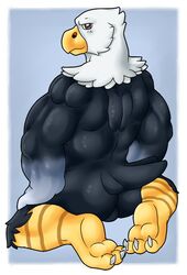 accipitrid accipitriform altenusy animal_crossing anthro apollo_(animal_crossing) ass avian balls barazoku beak bird claws digital_media_(artwork) eagle feathers feet genitals humanoid male male_only nintendo nude paws simple_background solo video_games wings