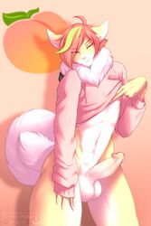 2:3 anthro beezlebumawoken bottomless canid canine canis clothed clothing domestic_dog erection fluffy food fruit fur genitals hair hi_res hoodie hoodie_only looking_at_viewer male male_only mammal mane mane_hair nipples peach_(fruit) penis pink_hoodie pink_nose plant pomeranian red_hair smile solo spitz tan_body tan_fur topwear white_body white_fur