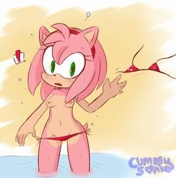 amy_rose anthro bikini cummysonic hearlesssoul pink_fur pink_hair small_breasts sonic_(series)