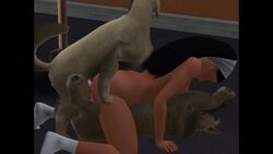 1girls 2dogs 3d animated bestiality bustadog canine canine_penis double_penetration simis sound the_sims_3 video zoophilia