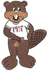 beaver engineers male_only mit mitrule34 tim tim_the_beaver timthebeaver