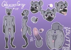 1boy absurd_res anthro anus ass ass_up balls erection genitals glaucous_grey gradient_background hi_res humanoid_genitalia humanoid_penis hyaenid male male_only mammal model_sheet multicolored_body nude penis simple_background solo standing text