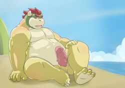 2020 anthro beach belly bowser erection genitals hi_res humanoid_hands koopa male male_only mario_(series) nintendo outside overweight overweight_male penis ragnadope scalie seaside sitting solo video_games water