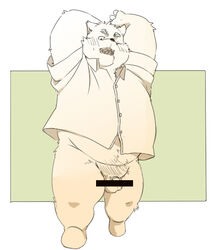 2020 anthro balls belly blush censored clothing flaccid genitals humanoid_genitalia humanoid_hands humanoid_penis inunoshippo kemono male male_only mammal overweight overweight_male penis shirt solo topwear ursid