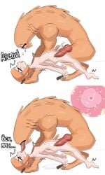 ben_10 egoroamer_(artist) gwen_tennyson human_on_feral knot shaking squirting zoophilia
