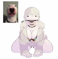 1girls 2020 anthro artist_name bent_over black_eyes bra breasts bull_terrier cleavage collar dog_girl facial_mark female female_only hat highres huge_breasts humanized kneeling looking_at_viewer meme multicolored_bra multicolored_collar nezulet r/dogelore simple_background sitting solo thick_thighs thighs vest walter_(r/dogelore) white_background white_hair white_skin