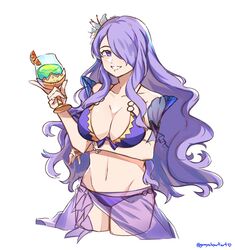 1girls bikini breasts camilla_(fire_emblem) camilla_(summer)_(fire_emblem) female fire_emblem fire_emblem_fates fire_emblem_heroes graysheartart large_breasts long_hair midriff navel nintendo purple_hair solo swimsuit