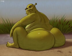 Shrek (Series) Rule 34 Image