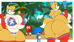 1girls 2boys big_ass big_breasts big_penis bikini curvaceous curvy diaslev_(artist) fat female fox genderswap gigantic_breasts huge_ass huge_breasts knuckles_the_echidna male milf rule_63 sonic_(series) sonic_the_hedgehog tails tailsko thick thick_thighs viciodamp voluptuous wide_hips worship