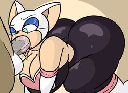 rouge the bat from sonic (series) by masterj291