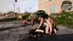 1boy 1girls 3d animated artist_request barefoot bestiality canine doggy_style dogmeat fallout fallout_4 female feral feral_on_female feral_on_human feral_penetrating_human fingerless_gloves german_shepherd interspecies original_character outdoors pip-boy sex sound source_request tactical_vest video zoophilia