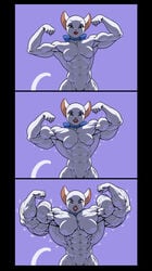 1girls abs angry anthro biceps clenched_teeth extreme_muscles eyeshadow feline female female_only flexing funny humor hyper_muscle lipstick makeup muscle muscle_growth muscular_female pokkuti silly smile solo sweat tom_and_jerry toodles_galore white_cat