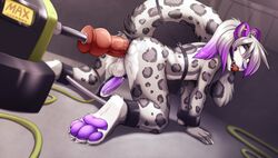 2018 4_toes all_fours anal anal_masturbation anal_sex anthro arms_tied ass backsack ball_gag balls bondage bound claws countershading cum cum_while_penetrated detailed_background digital_media_(artwork) dildo ear_piercing ear_tuft erection eye_roll feline fluffy fluffy_tail fucking_machine fur gag gagged girly gradient_hair grey_fur grey_spots hair harness hindpaw humanoid_penis inside knotted_dildo leash leopard leopard_spots long_tail looking_pleasured lube machine male mammal masturbation milking_machine multicolored_hair nude orgasm orgasm_face pawpads paws penetration penis penis_backwards penis_milking piercing purple_eyes purple_fur purple_hair purple_pawpads purple_penis raised_tail rear_view red_ball_gag reyathae sex_machine sex_toy shackles short_hair snow_leopard solo spots spreader_bar toes tuft two_tone_hair white_balls white_countershading white_fur white_hair zazush-una