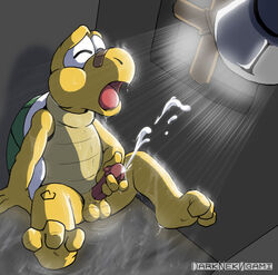 cum darknek0gami koopa_troopa koops male_only mario_(series) masturbation nintendo penis scalie shower straight_hair turtle