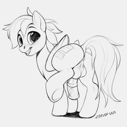 1:1 2020 anus balls digital_media_(artwork) equid equine fan_character feathered_wings feathers feral furry genitals hi_res male male_only mammal monochrome my_little_pony pegasus penis smile solo wings zazush-una