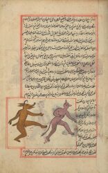 1537 16th_century 1_horn absurd_res ambiguous_species ancient_art animal_humanoid anthro archived_source balls biped demon duo featureless_chest flaccid furry furry_only genitals gouache_(artwork) hi_res horn humanoid humanoid_hands jinn looking_at_another looking_back looking_back_at_another male male_anthro male_humanoid nude nude_anthro nude_humanoid nude_male painting_(artwork) penis persian_text plantigrade public_domain raised_leg short_tail side_view simple_background standing tail tail_tuft text traditional_media_(artwork) traditional_painting_(artwork) tuft unknown_artist