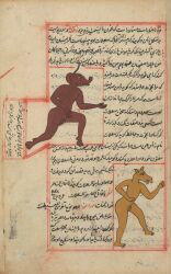 1537 16th_century 1_horn absurd_res ambiguous_species ancient_art anthro archived_source balls biped brown_body camel camelid featureless_chest feet furry furry_only genitals gouache_(artwork) hi_res hooves horn humanoid_feet humanoid_hands male male_anthro mammal multiple_images nude nude_anthro nude_male painting_(artwork) persian_text plantigrade public_domain simple_background solo standing text traditional_media_(artwork) traditional_painting_(artwork) unguligrade unknown_artist yellow_body