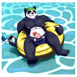 1:1 anthro balls barazoku big_(disambiguation) border coffeecat digital_media_(artwork) feet genitals giant_panda hi_res kemono male male_only mammal muscular overweight pawpads paws penis sex solo ursid wet white_border