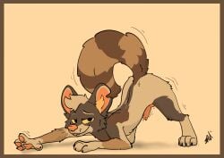 absurd_res african_wild_dog all_fours animal_genitalia animal_penis anthro barely_visible_genitalia barely_visible_penis blush body_blush brown_body brown_fur canid canine canine_genitalia canine_penis canis crispin(character) digitigrade erection fur genitals green_eyes hair handpaw hi_res hybrid looking_at_viewer male mammal markings mixed_breed multicolored_body pawpads paws penis presenting procyonid raccoon raised_paw ring_(marking) ringed_tail shaking simple_background smile solo stretching striped_markings striped_tail stripes tail tail_markings teasing tongue tongue_out two_tone_body whiskers