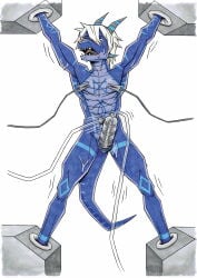 absurd_res anthro athletic athletic_anthro athletic_male blue_body blue_markings bodily_fluids crying dragon grydir_dacanoor_(griffonki) hair hi_res horn male markings mythological_creature mythological_scalie mythology navel_fetish navel_penetration nipple_clamp oluttzada penetration restrained scalie solo tail tears white_hair
