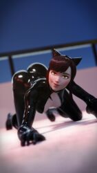 3d 3d_(artwork) batman_(series) blender brown_hair cat_ears catwoman_(cosplay) crawling d.va dc dc_comics effectsmaster231 latex on_all_fours overwatch rooftop rubber