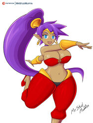 big_breasts blue_eyes female female_only genie long_hair mrstudmuffin ponytail purple_hair shantae shantae_(character) smooth_skin solo solo_female solo_focus