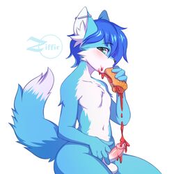 1:1 anthro balls blue_body blue_eyes blue_fur blue_hair canid canine domestic_cat ear_piercing eating erection felid feline felis food fox fur genitals hair hi_res hot_dog hot_dog_bun humanoid_genitalia humanoid_penis hybrid inner_ear_fluff ketchup looking_at_viewer male male_only mammal penis piercing short_hair simple_background sitting solo tuft white_background white_body white_fur ziffir