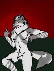 animal_genitalia animal_penis anthro balls canid canine canine_penis canis chest_tuft flaccid fox fur genitals grey_body grey_fur hybrid male male_only mammal penis russo sheath sitting solo tuft unknown_artist white_body white_fur wolf yellow_eyes