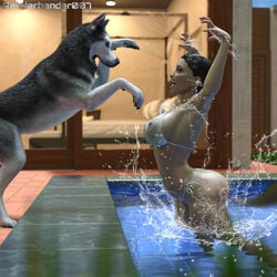 ass bikini breasts brown_hair canine dripping feral husky pool renderbender007 see-through swim swimming wet zoophilia