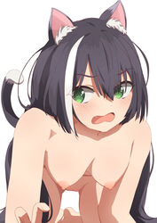 animal_humanoid black_body black_fur black_hair blush breasts casual_nudity cat_humanoid felid felid_humanoid feline feline_humanoid female fur genitals green_eyes hair hi_res humanoid inner_ear_fluff kyaru_(princess_connect) long_hair mammal mammal_humanoid nipples nude princess_connect! princess_connect!_re:dive pussy simple_background small_breasts solo sonri tuft uncensored