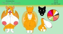 absurd_res alternate_universe alythewolfcat anthro ass bat big_breasts big_butt breasts chest_tuft collar collar_only color_wheel dust:_an_elysian_tail english_text female fidget_(elysian_tail) fidget_volarursi genitals hair hair_over_eye heart_(marking) hi_res huge_breasts inverted_nipples makeup mammal markings model_sheet nimbat nipples nude plump_labia pussy short_stack solo tattoo text tuft wide_hips wings