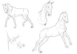 animal_genitalia ears_back equid equine feral fully_sheathed genitals hooves horse male mammal monochrome mouth_closed pivoted_ears scarlanya sheath side_view sketch_page solo