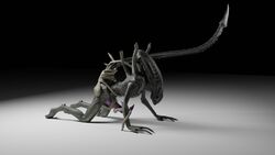 16:9 3d alien alien_(franchise) anal black_body duo facehugger feral genitals hi_res humanoid male male/male male_xenomorph penetration penis purple_penis rsanimation_(artist) size_difference small_dom_big_sub unusual_genitalia widescreen xenan_(character) xenomorph