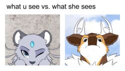 9tales_comic brown_body brown_fur cervid dean_(9tales) duo english_text eye_contact felicity_(9tales) felid feline female feral fur furry grey_body grey_fur hioshiru kejifox looking_at_another male mammal meme straight text