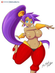 big_breasts dark-skinned_female dark_skin female female_only mrstudmuffin nipples shantae shantae_(character) smooth_skin solo solo_female solo_focus